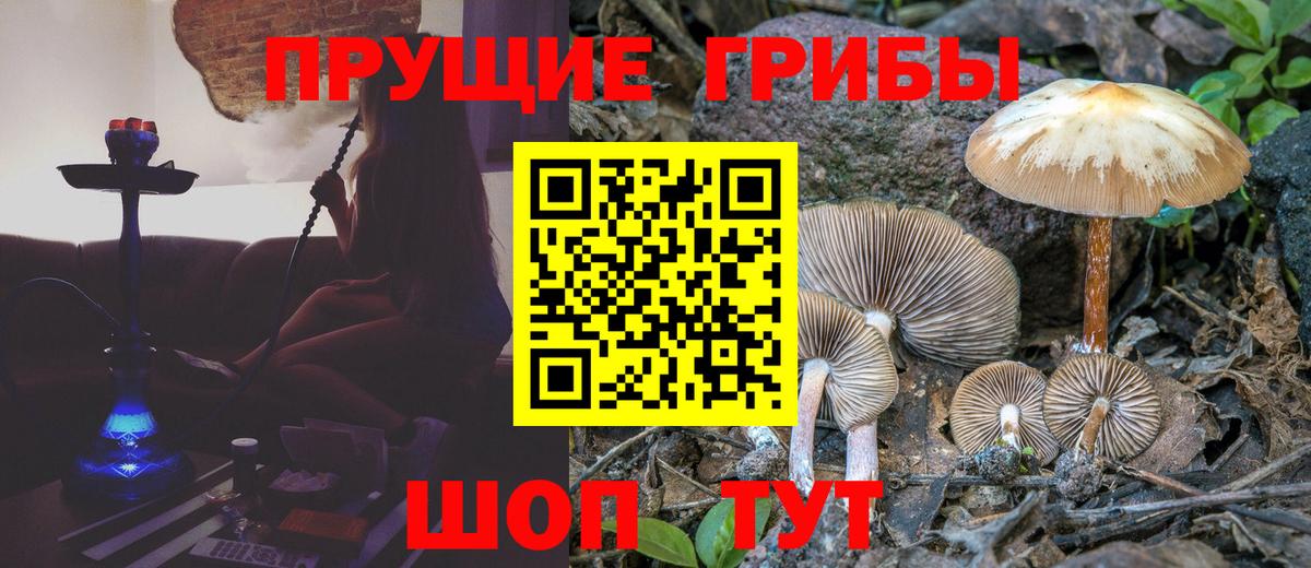 Ахтубинск  Псилоцибиновые грибы Psilocybine cubensis  Галлюциногенные грибы ЛСД  Вход с VPN 